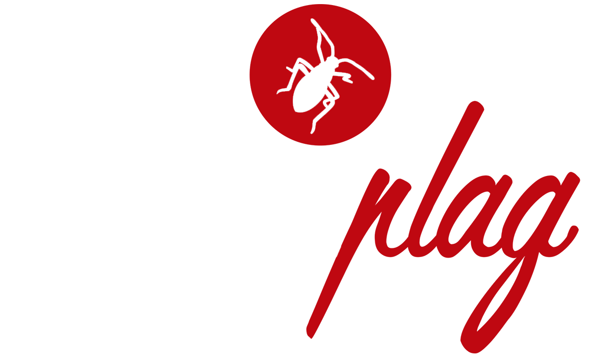 logo AQUAPLAG GANDIA - Control de plagas y tratamiento contar la legionelosis